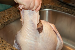 ThanksgivingTurkeyCuttingBackSkin