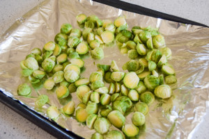 CranberryBrusselSproutsChoppedSprouts