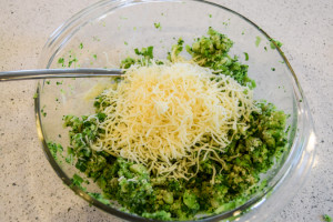BroccoliCheeseBitesAddCheese